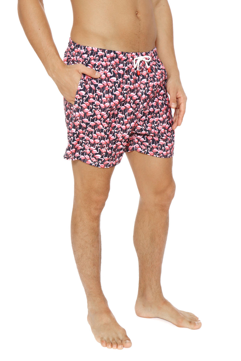 Flamingo Negro