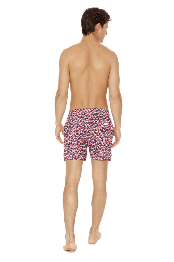 Flamingo Negro