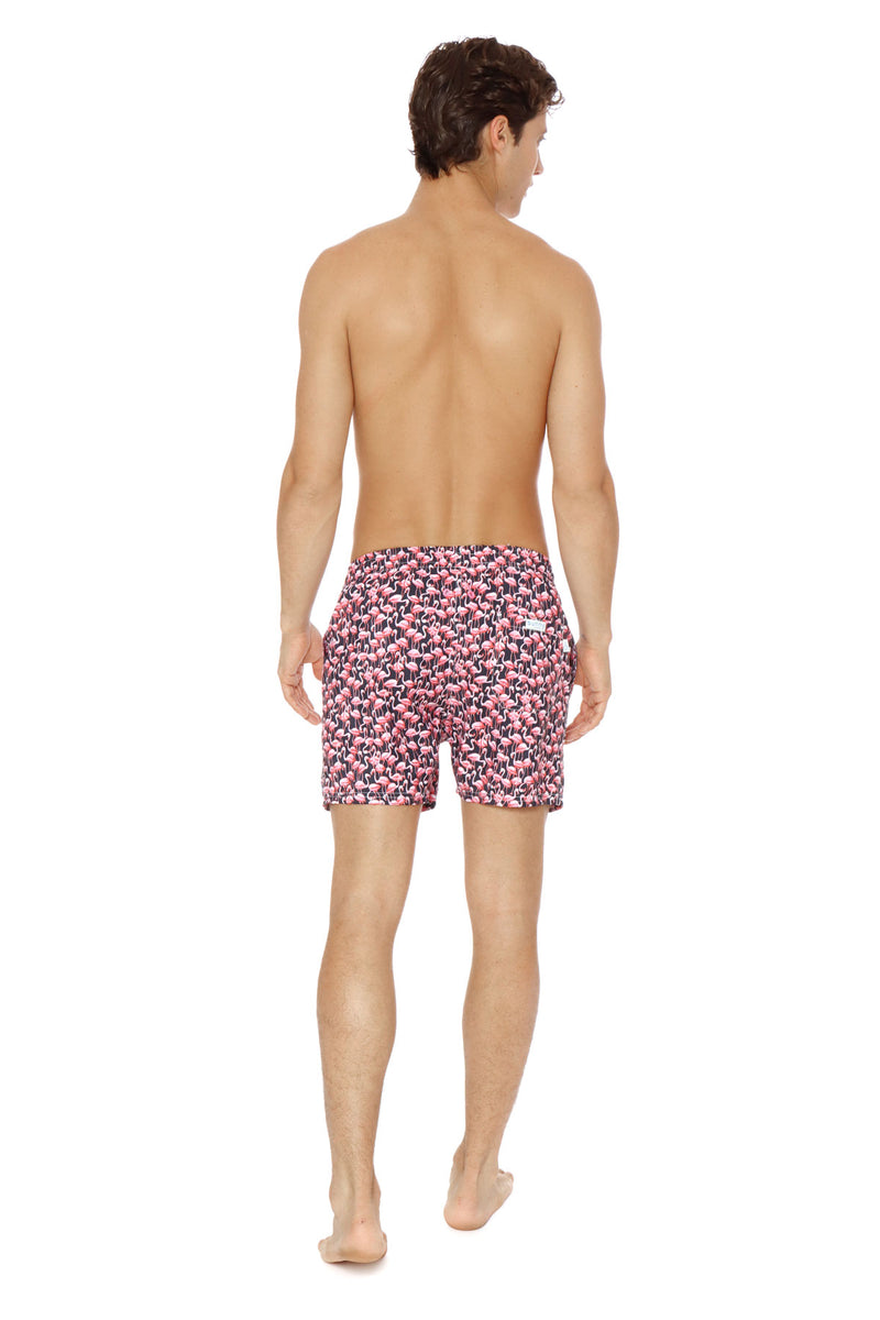 Flamingo Negro