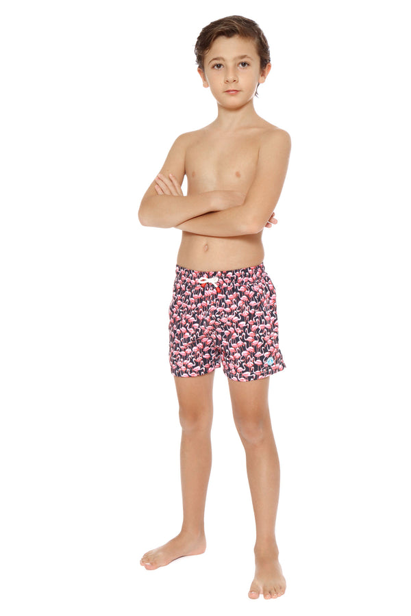 Flamingo Negro Boy