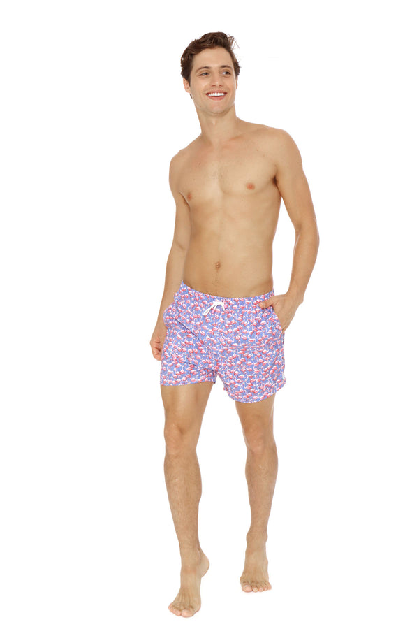 Flamingo Cielo