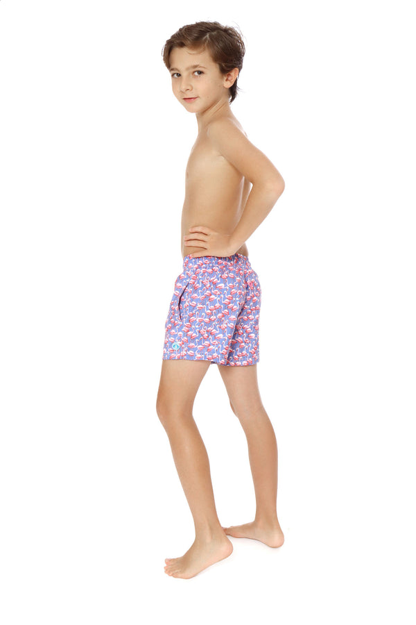 Flamingo Cielo Boy