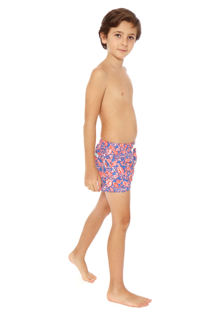 Corales Azul Boy