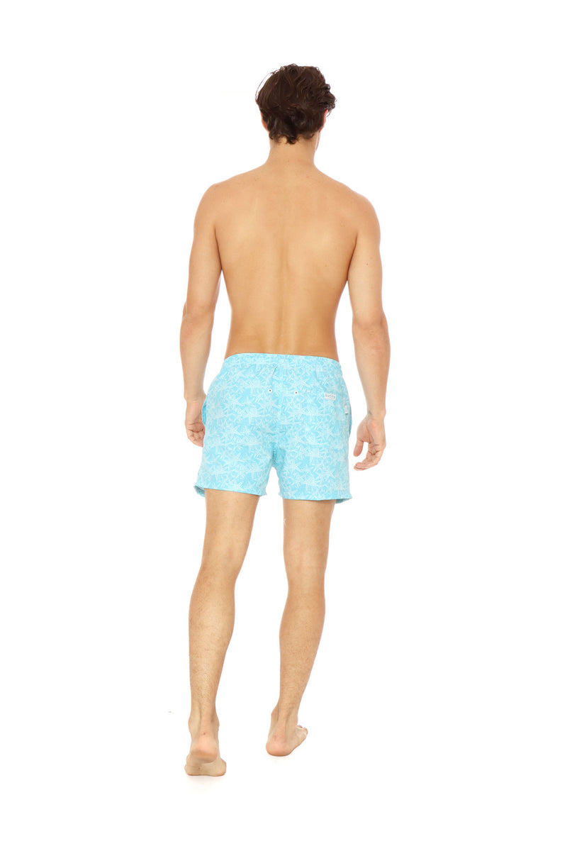 Estrella De Mar Azul