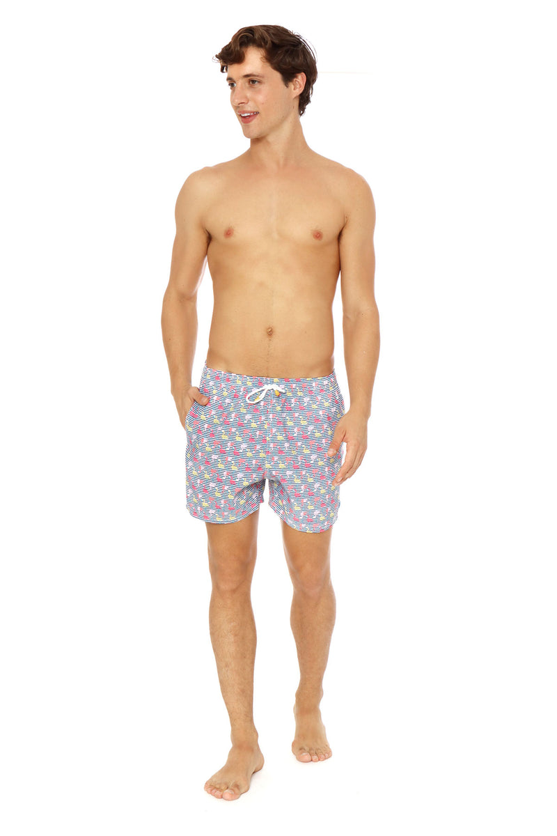 Flamingo Azul