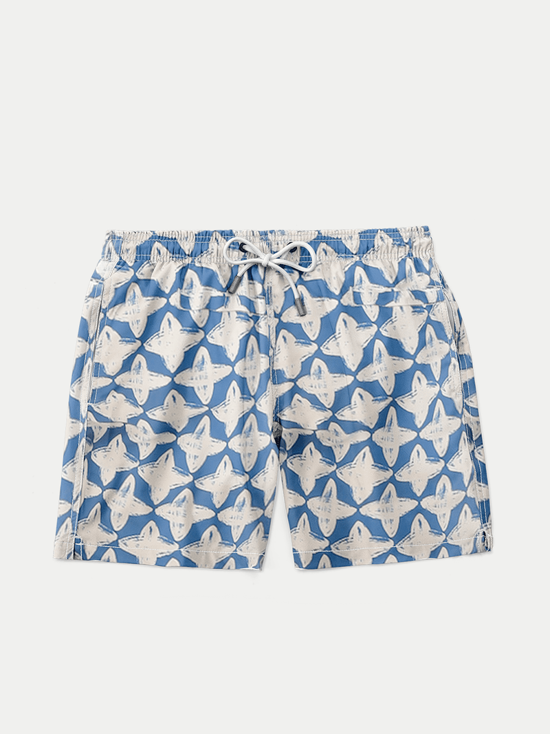 Blue Harlequin Boy