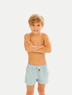 Plumelia Blue Boy