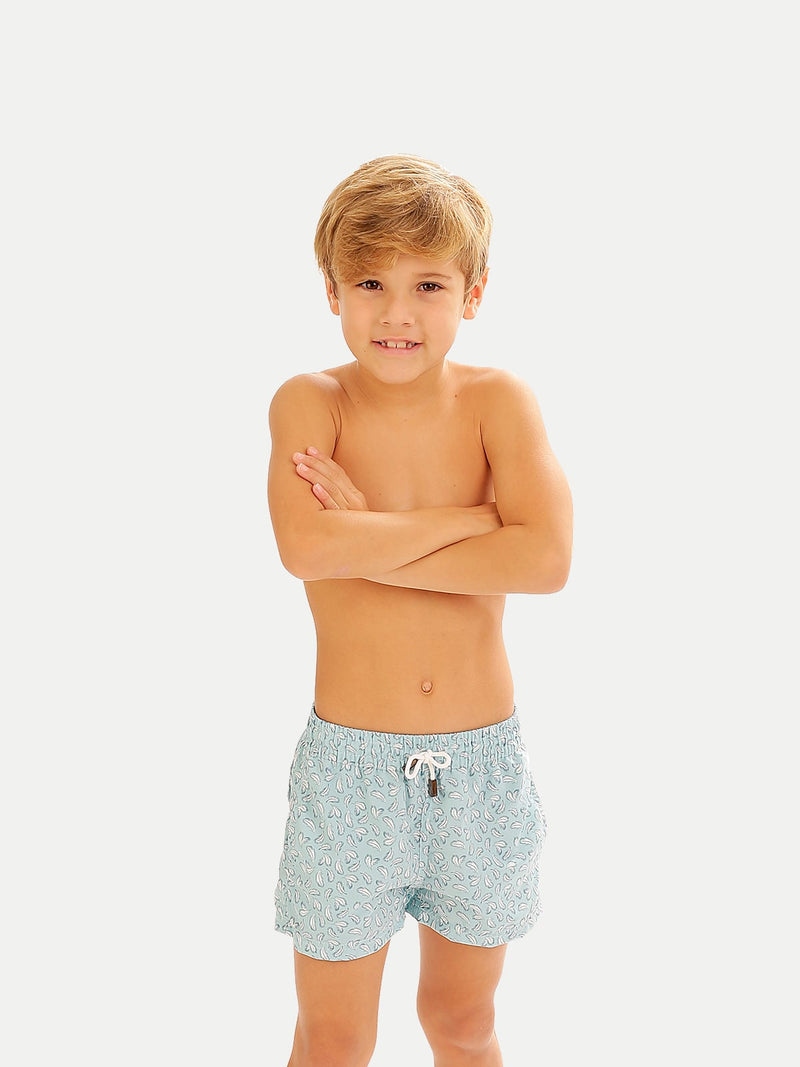 Plumelia Blue Boy