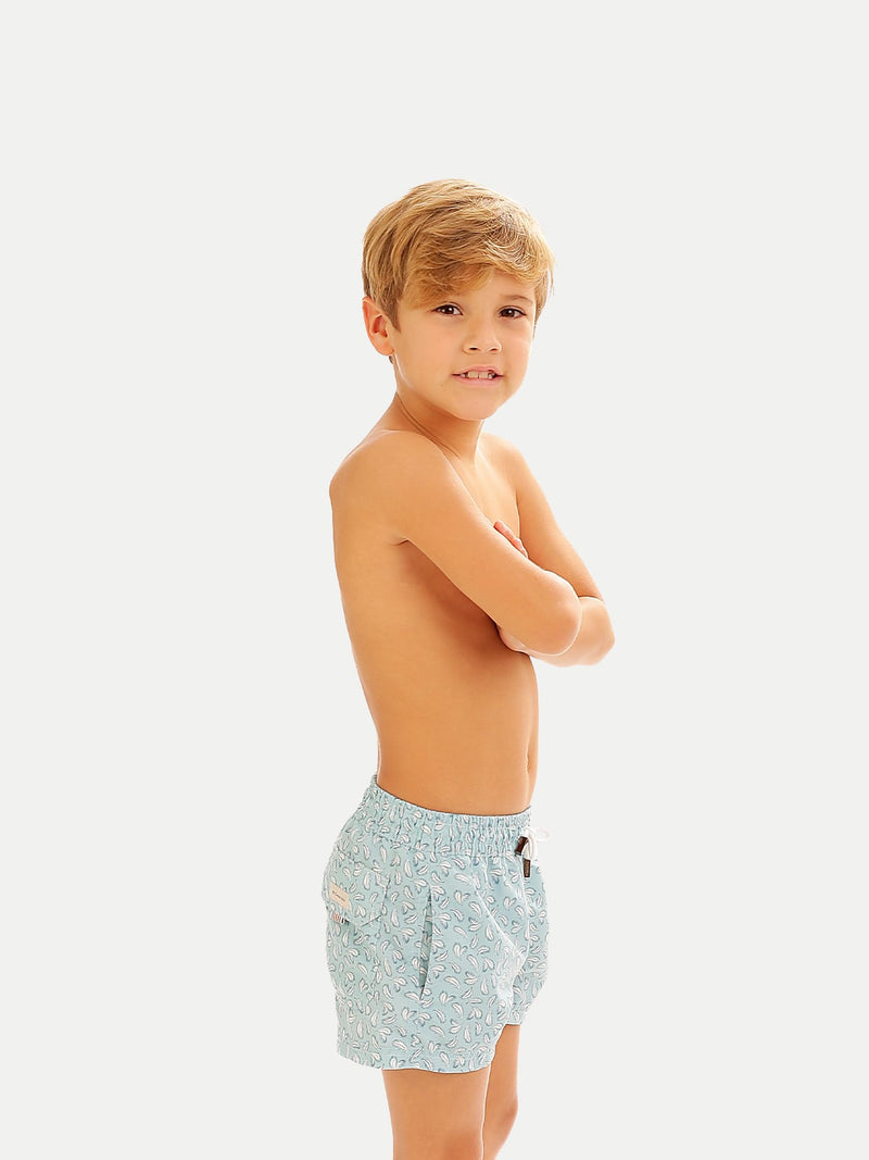 Plumelia Blue Boy