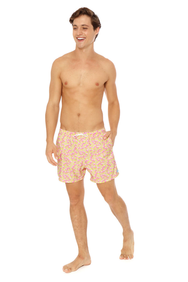Flamingo Amarillo