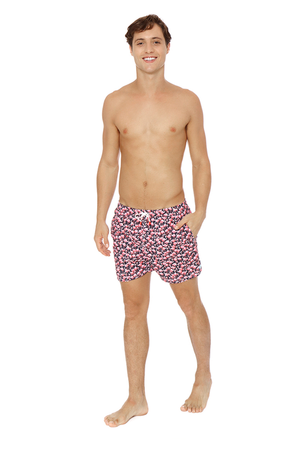 Flamingo Negro